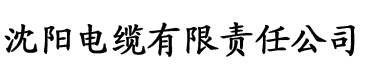 国产亚洲av另类一区二区三区电缆厂logo